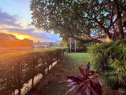 Paradise Island (D4), Detached #496514411